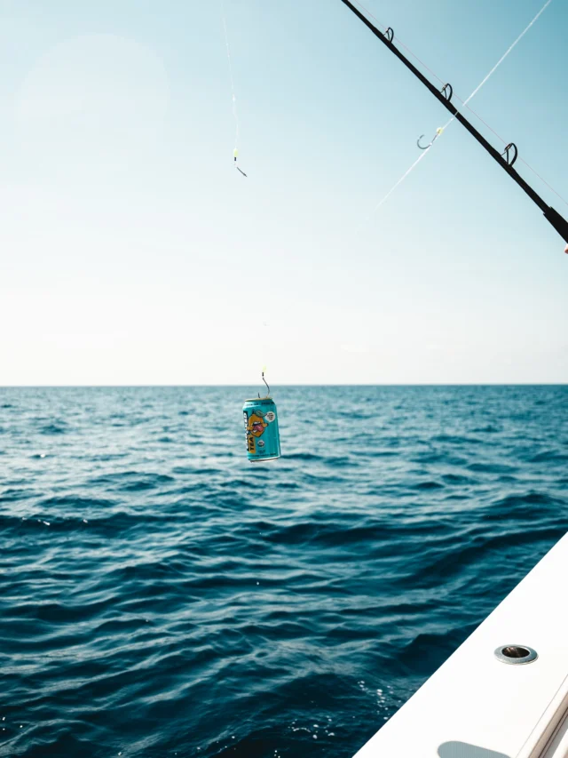 think we’re gonna need a bigger boat 🦈🍋🎣
•
•
•
#CrookedTea #DrinkCrookedTea  #Tongue #BrewedRude #DrinkCrooked #Cheeks #Peach #Lemon #Rude #BoldRudeBrewed
#Explore #Explorepage #Instagood #Raspberry #Ras