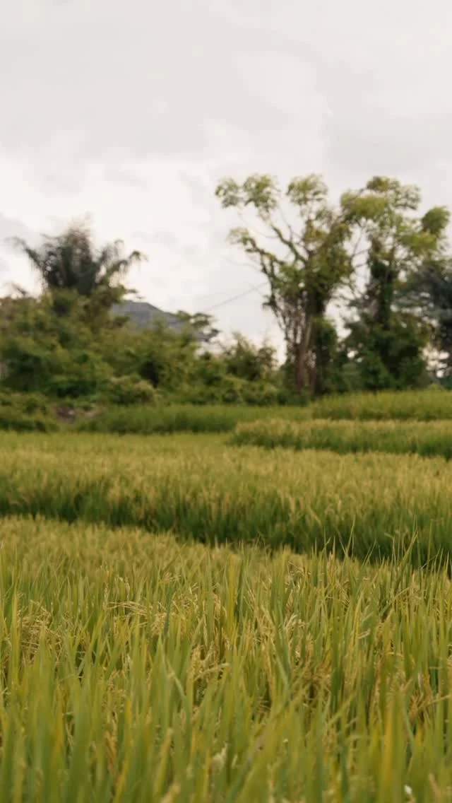 It’s really that simple.
•
•
•
#CrookedTea #DrinkCrookedTea  #Tongue #BrewedRude #DrinkCrooked #Cheeks #Peach #Lemon #Rude #BoldRudeBrewed
#Explore #Explorepage #Instagood #Raspberry #Ras #Comedy #Reels #ASMR